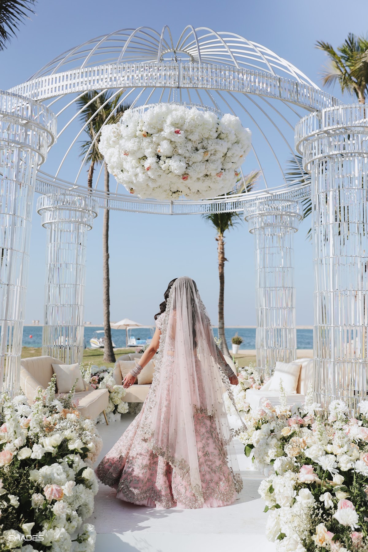 Tasneem Alibhai Weddings & Special Occasions 2