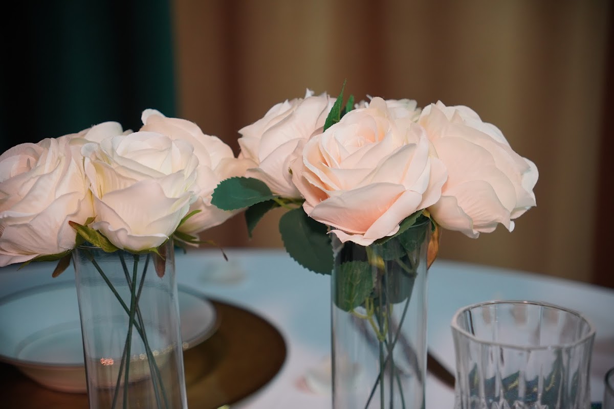 Swan Lake Events 4